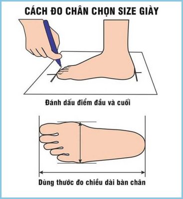 Đo kích thước bàn chân